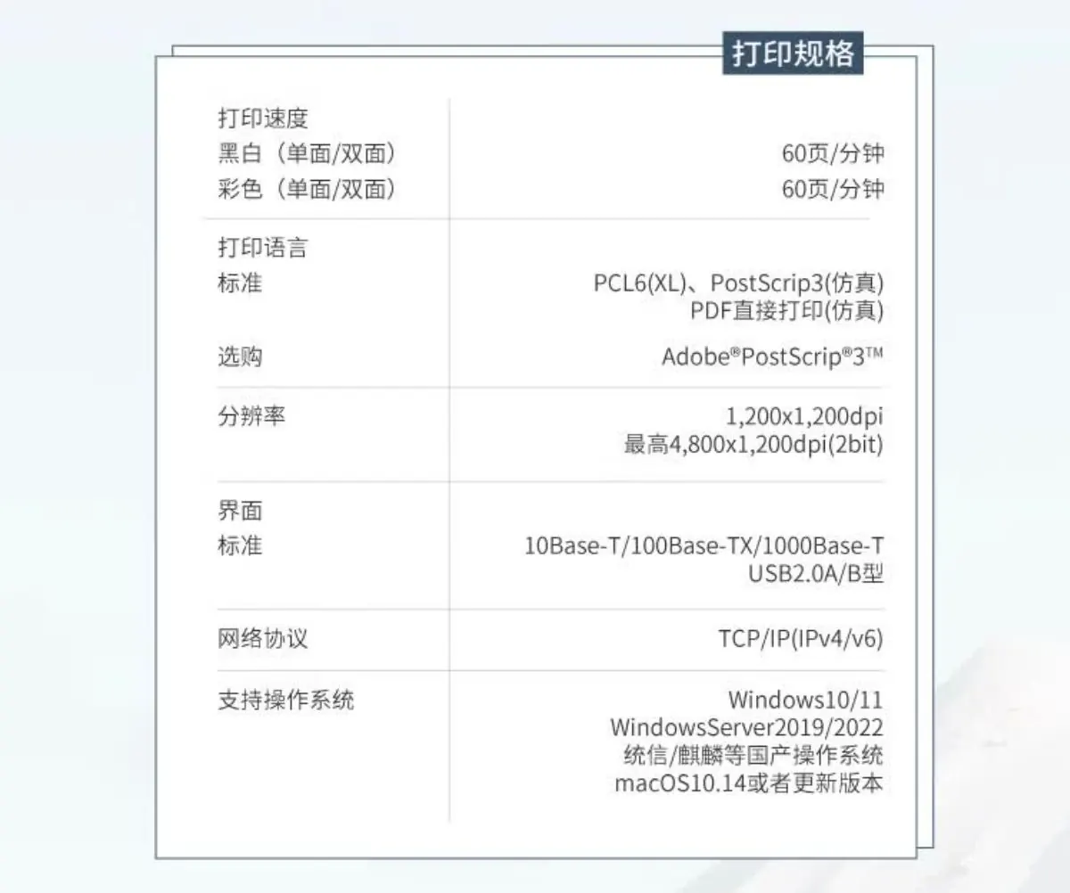 详情10.jpg