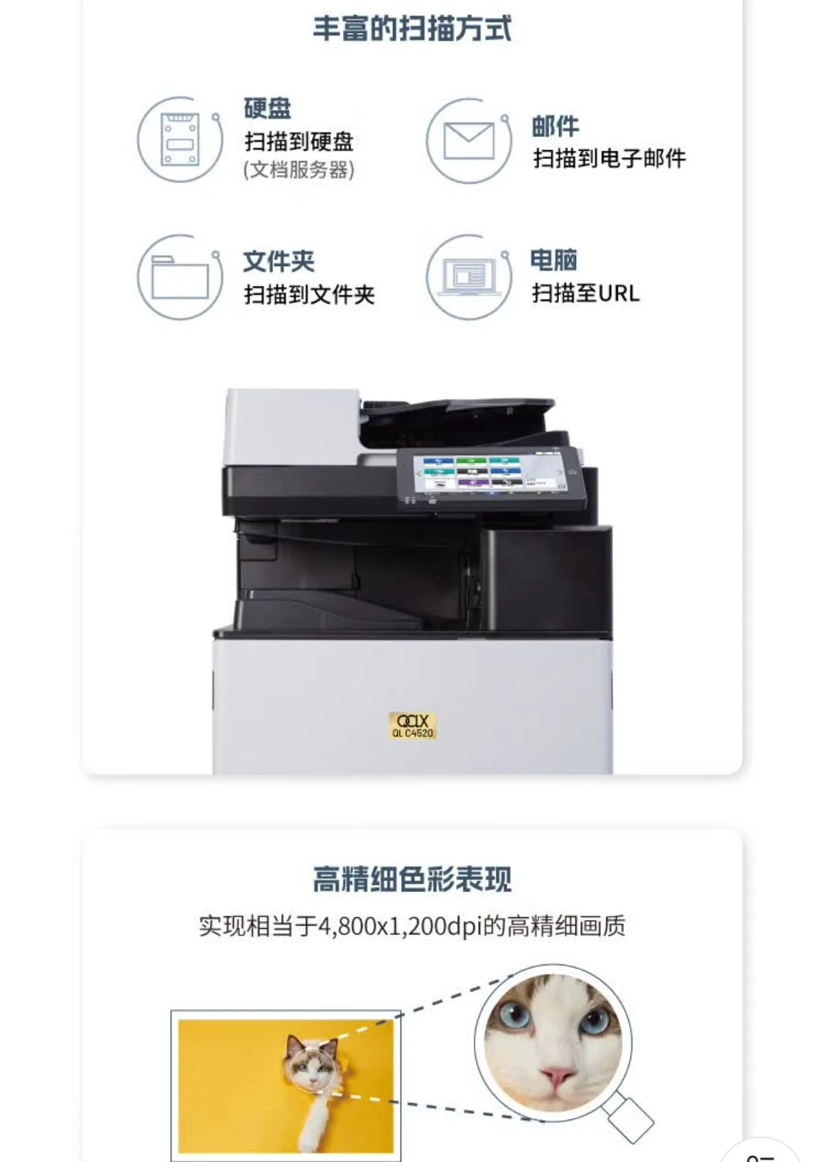详情9.jpg