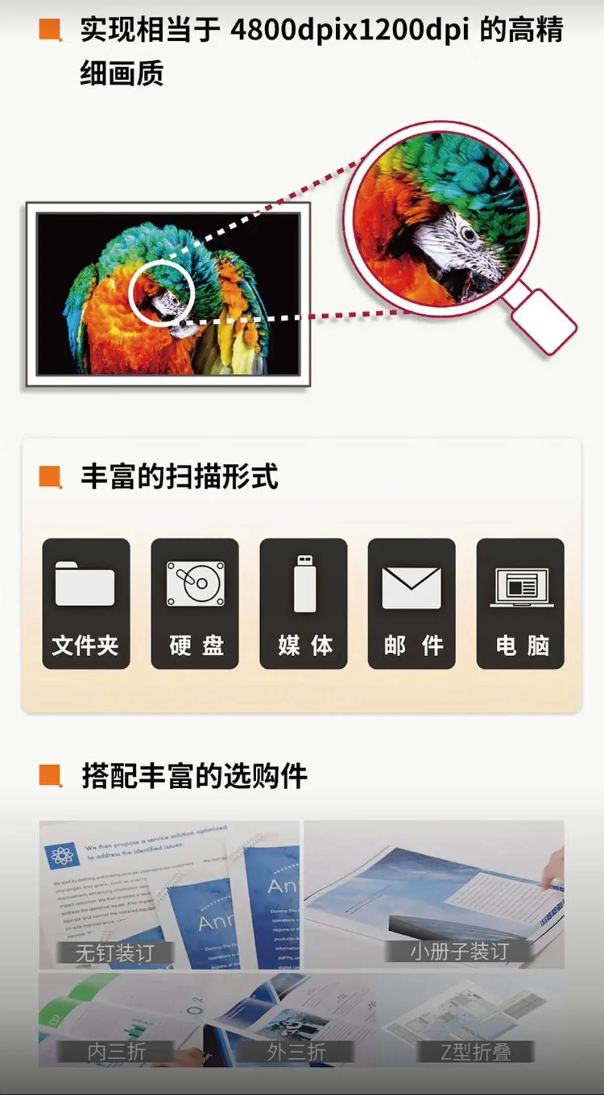 详情7.jpg